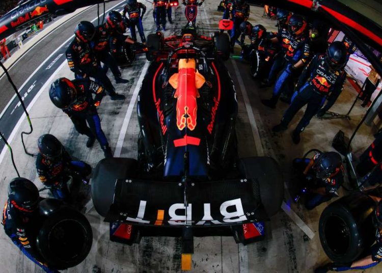 Red Bull Tsunoda