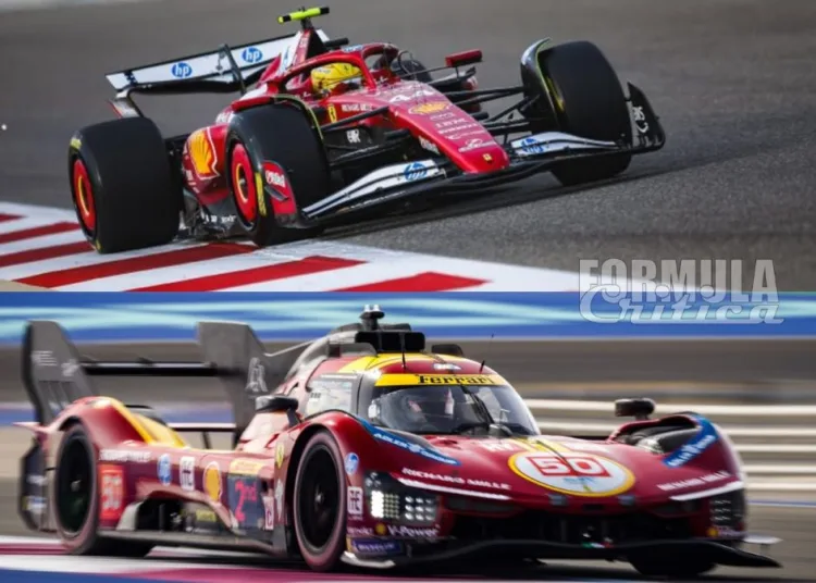 News F1