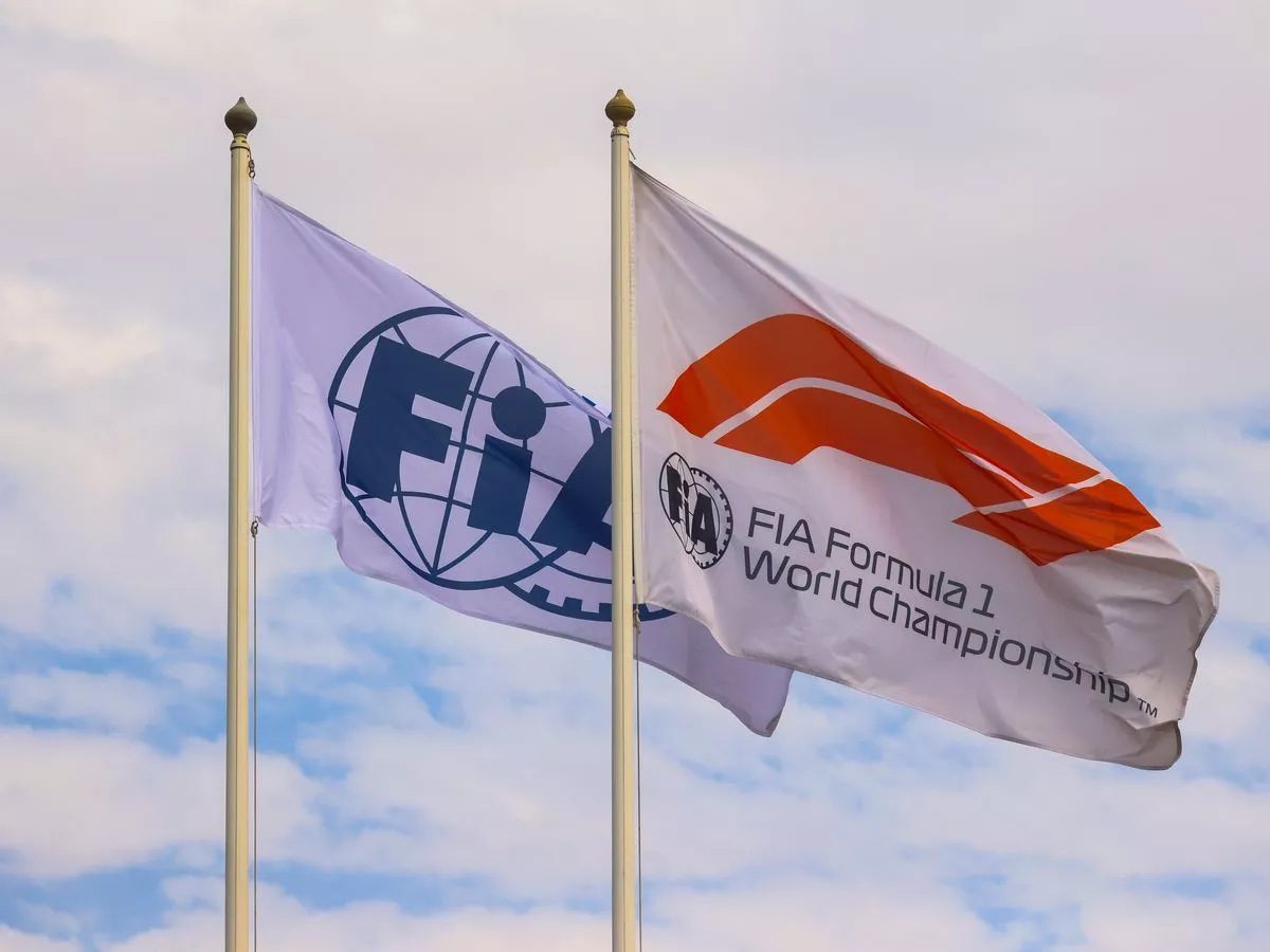 Bandiere della F1 e della FIA